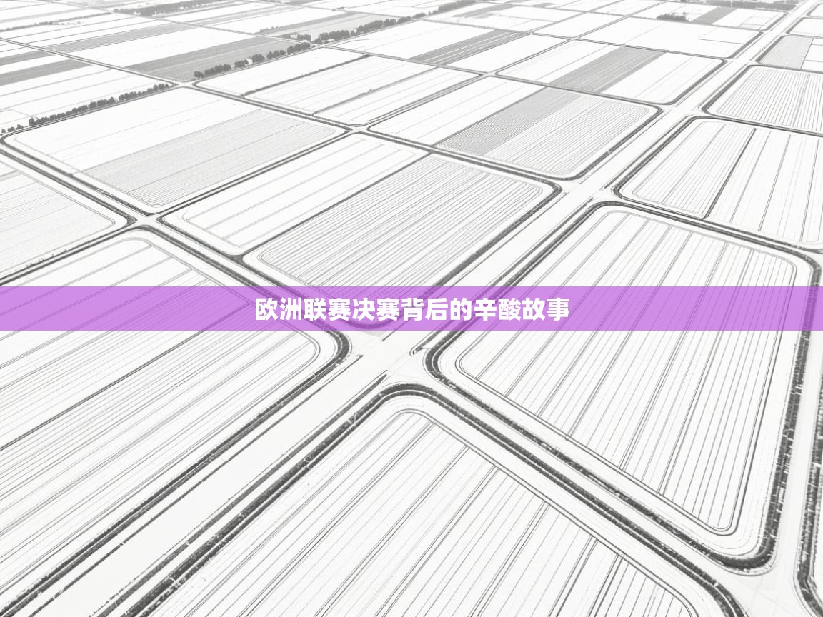 欧洲联赛决赛背后的辛酸故事  第1张