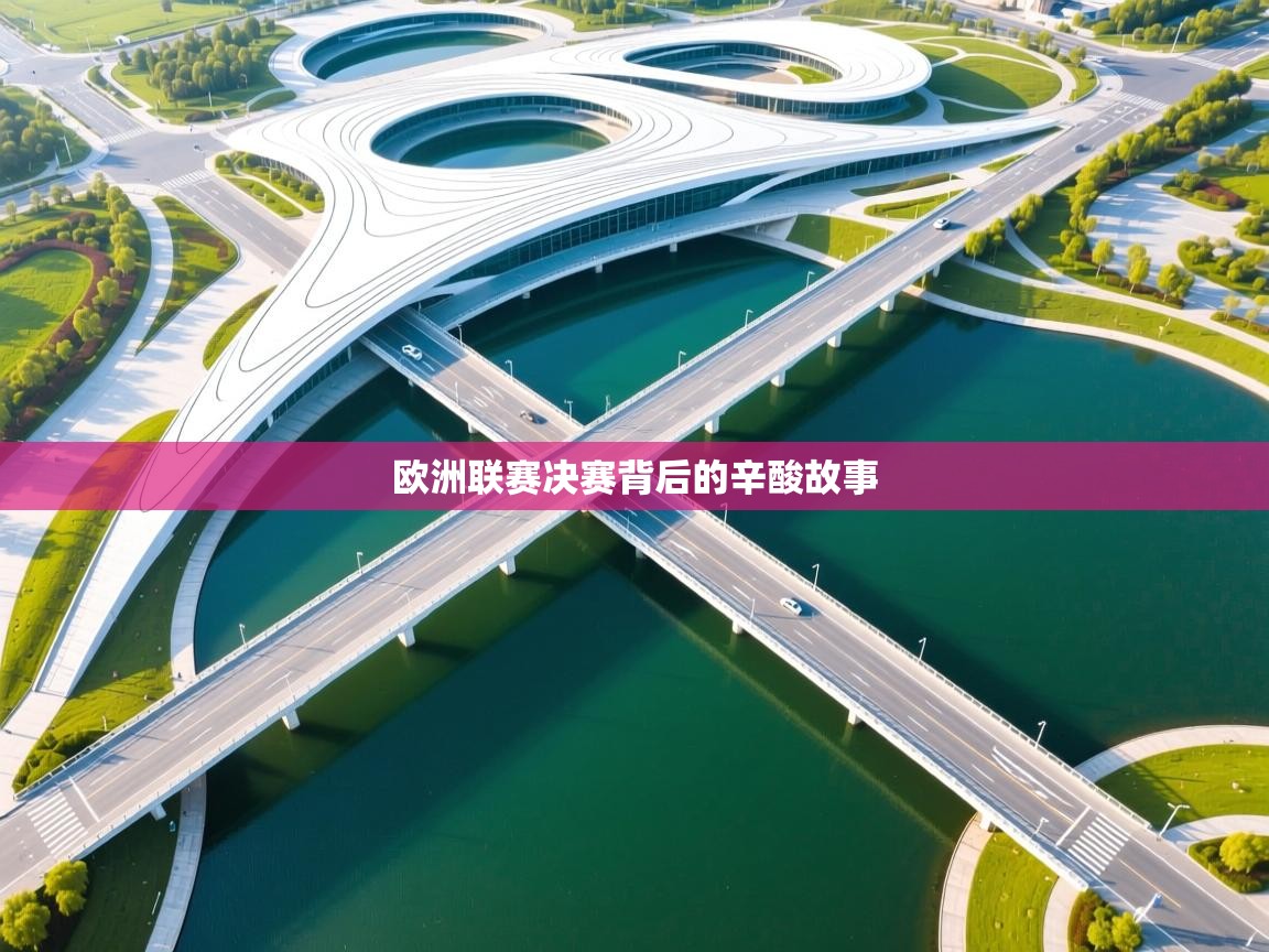 欧洲联赛决赛背后的辛酸故事  第2张