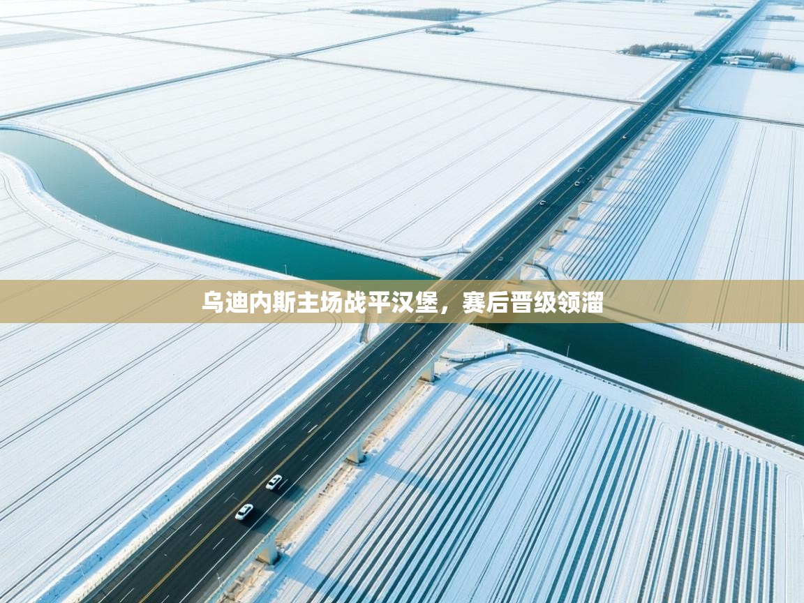 乌迪内斯主场战平汉堡，赛后晋级领溜  第1张