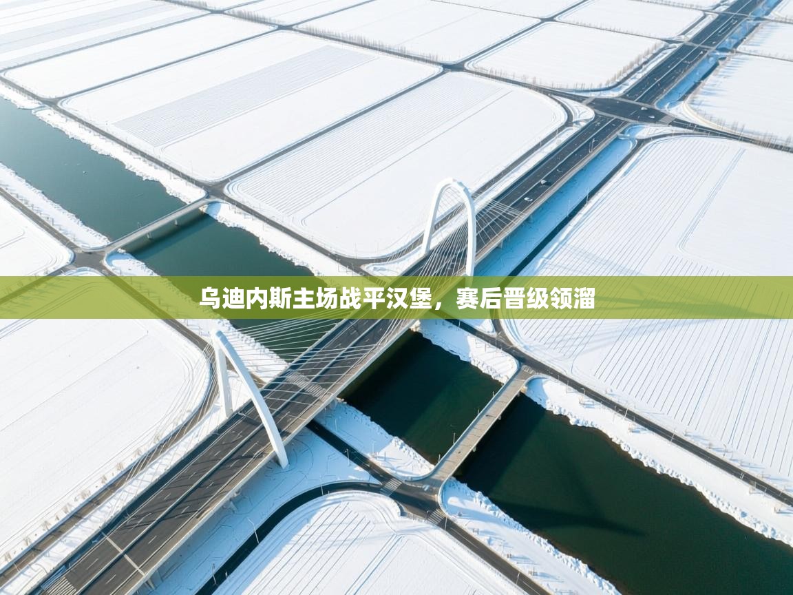 乌迪内斯主场战平汉堡，赛后晋级领溜  第2张