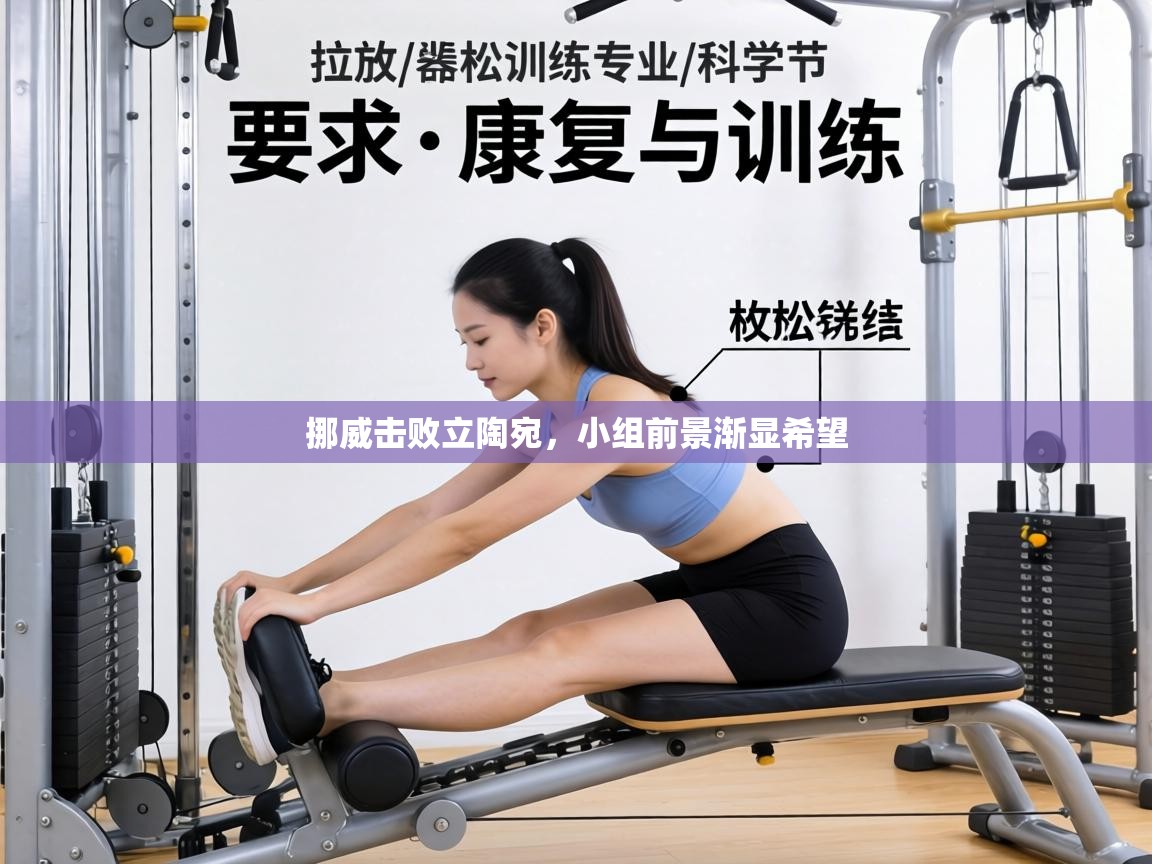 挪威击败立陶宛,小组前景渐显希望 第1张